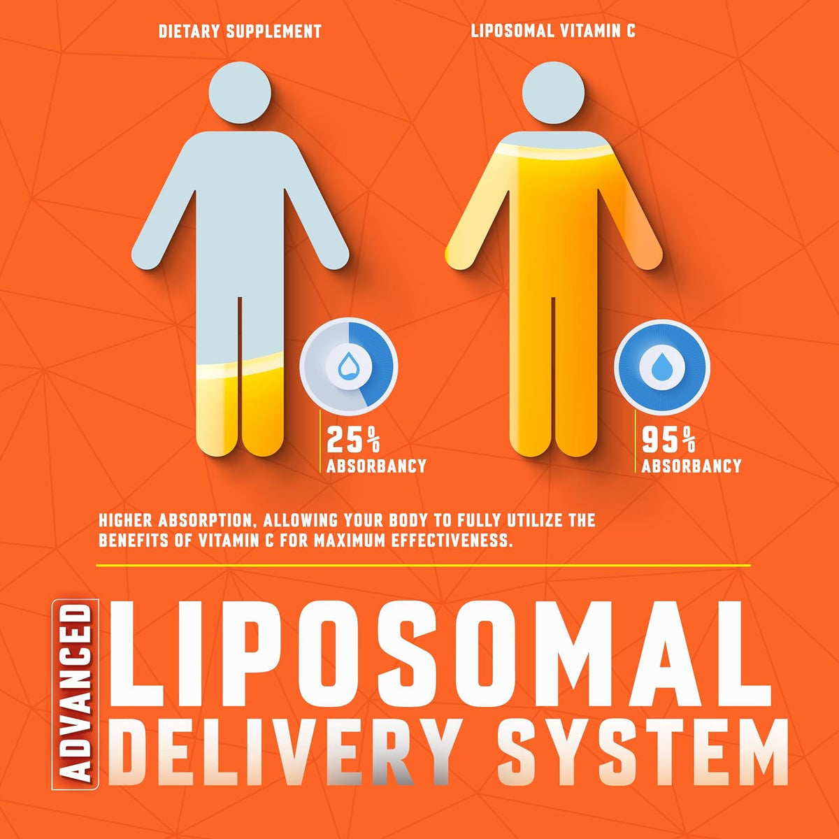 BASIC GREENS Liposomal Vitamin C Liquid 6000mg – High Absorption Supplement for Immune & Skin Health (60 ml) - görsel 4