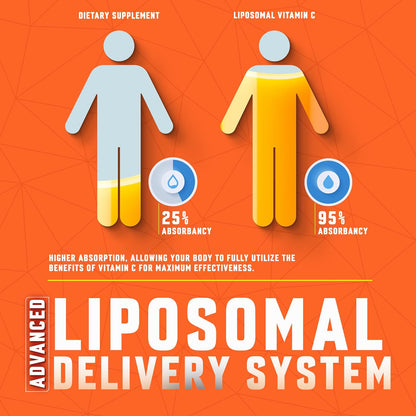 BASIC GREENS Liposomal Vitamin C Liquid 6000mg – High Absorption Supplement for Immune & Skin Health (60 ml)