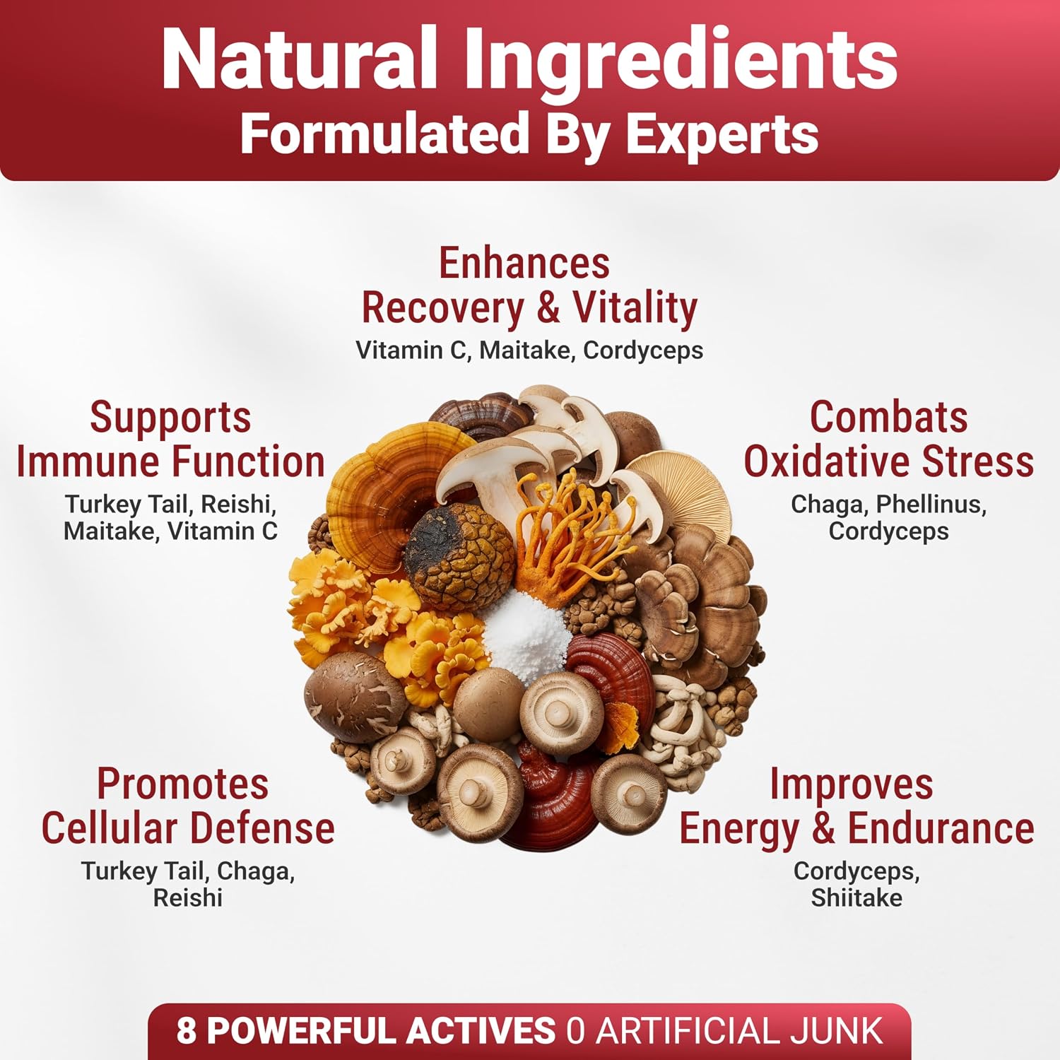 Turkey Tail Mushroom Powder for Dogs - 7 Mushroom Blend - Made in the US - görsel 5
