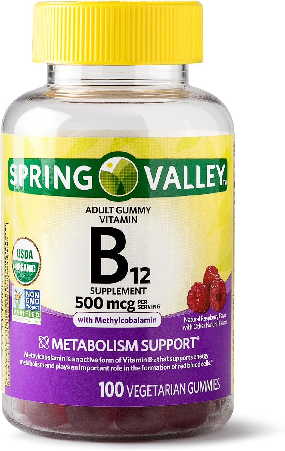 Spring Valley Adult Gummy Vitamin B12, Natural Fruit Flavour, 500 mcg, 100 Gummies - görsel 1