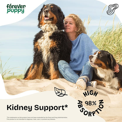 Forever Puppy Dandelion Leaf Drops for Dogs - Liquid Herbal Supplement for Kidney Support, 60 ml