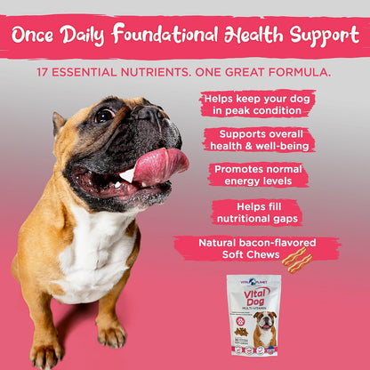 Vital Planet Vital Dog Multivitamin for Everyday Health – 30 Bacon Flavoured Soft Chews