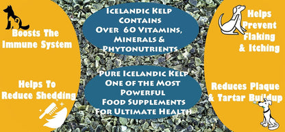 Wolf Creek Ranch Icelandic Kelp Meal - 2.27 kg
