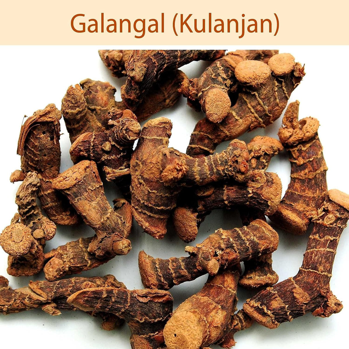 Foodherbs Kulanjan/Sitharathai/Alpinia Galanga Powder (200g) - görsel 3