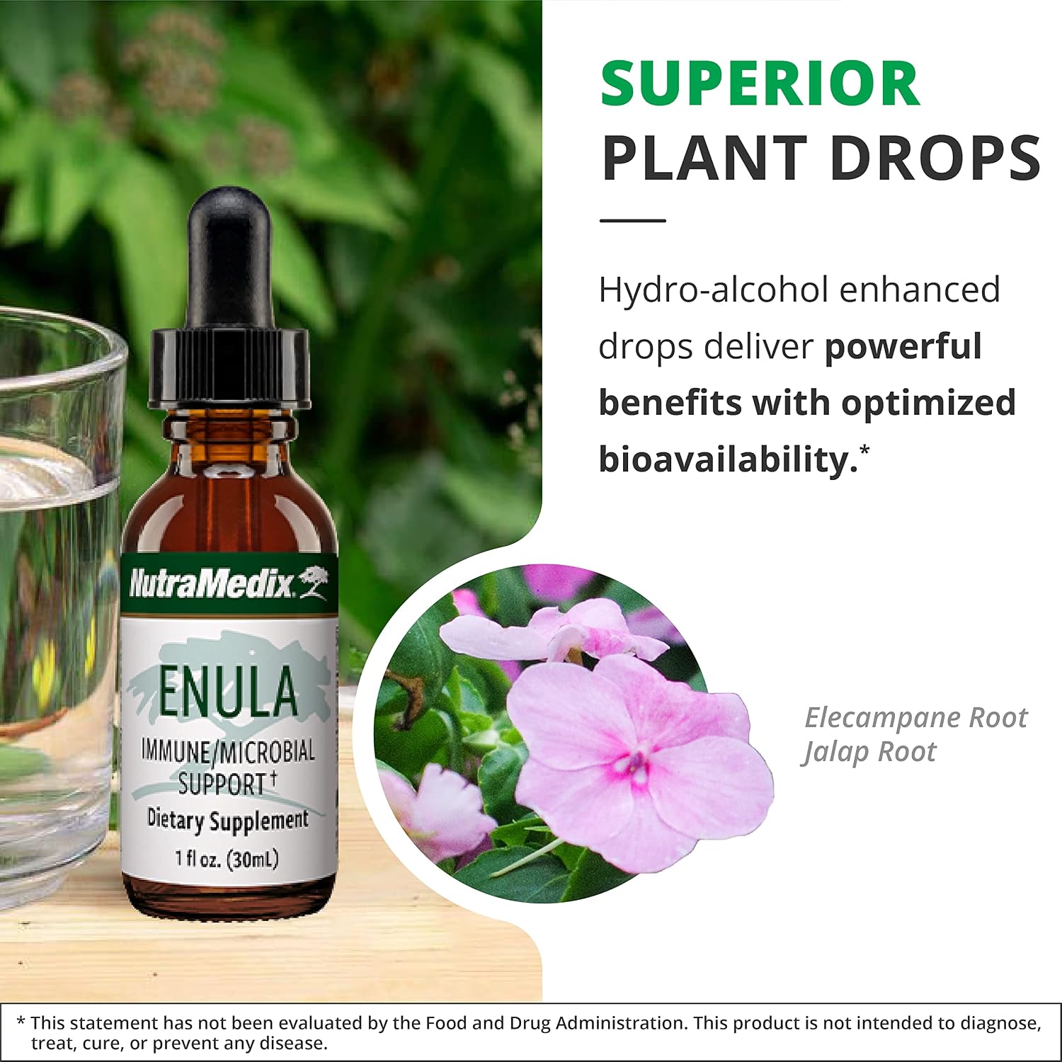 NutraMedix Enula Liquid Drops for Antioxidant & Immune Support – Elecampane Root & Jalap Root Extract to Promote Healthy Immune Defence – Bio-available Herbal Supplement (60ml) - görsel 5