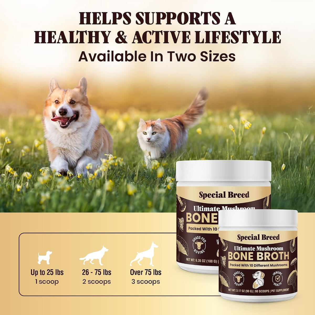 Beef Bone Broth for Dogs – High Protein Powder with Ten Organic Mushrooms and Collagen - görsel 6