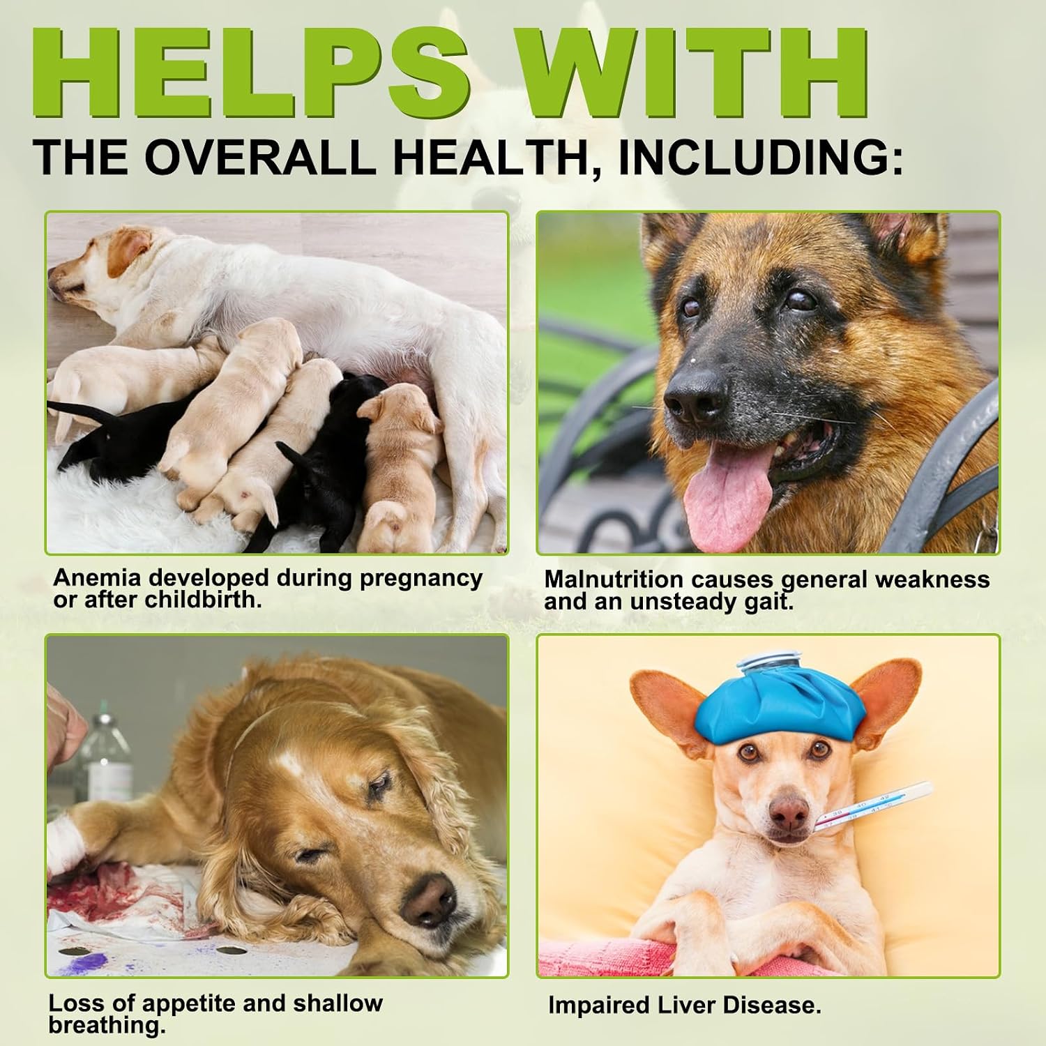 ALIVO Milk Thistle for Dogs - 180 Chewable Tablets - görsel 4