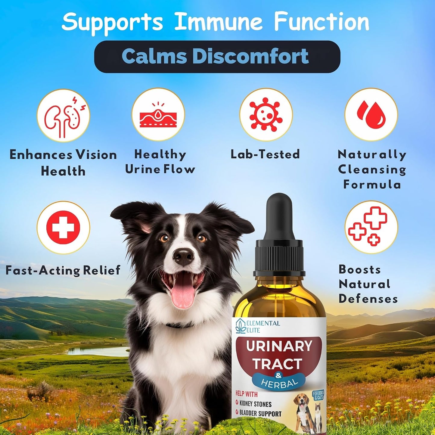 EDUZEBRA Urinary Tract Health Treatment for Dogs & Cats – Natural Herbal UTI Support Drops with Cranberry Extract - görsel 3