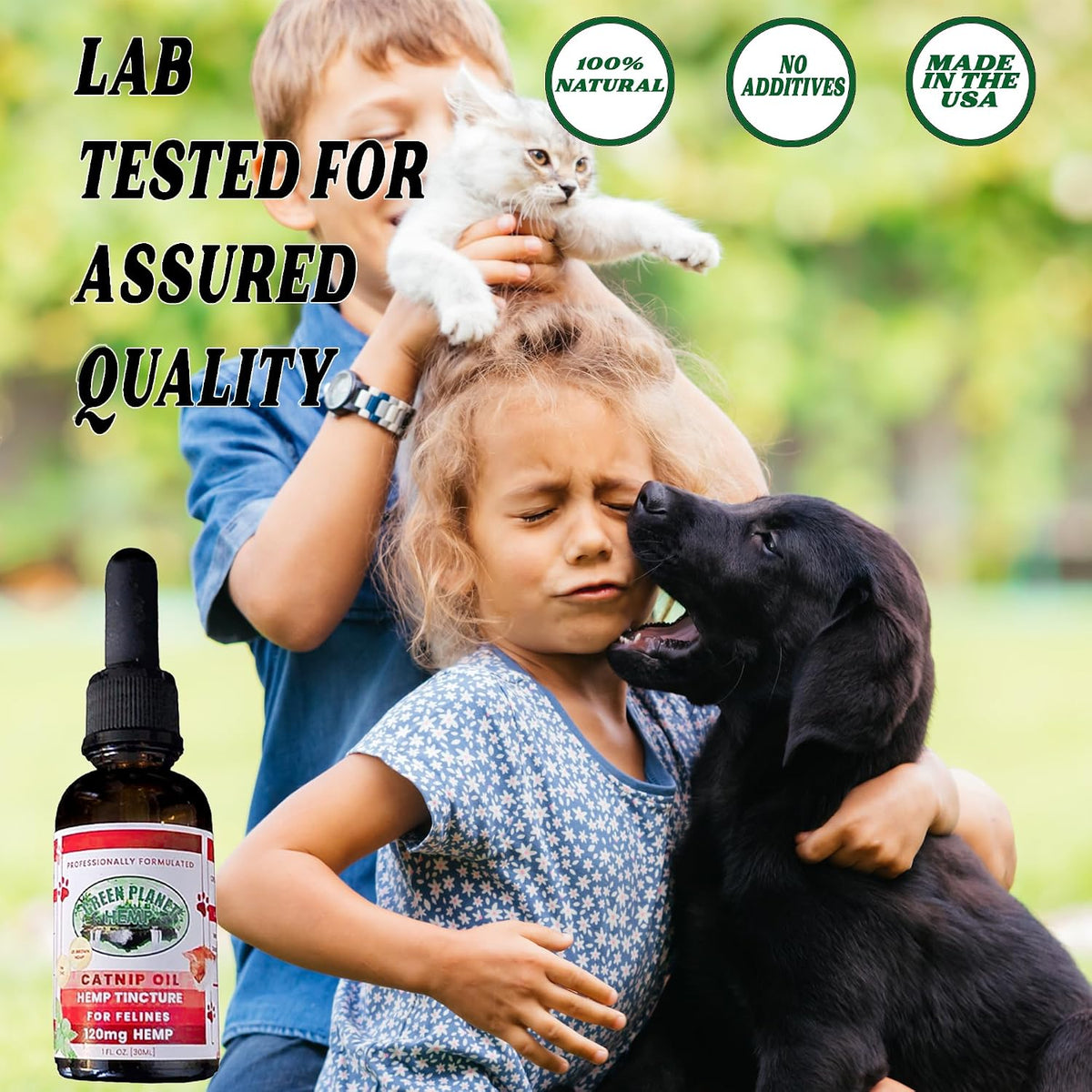 Pet Hemp Oil with Catnip – Organic Hemp Tincture for Dogs and Cats - görsel 5