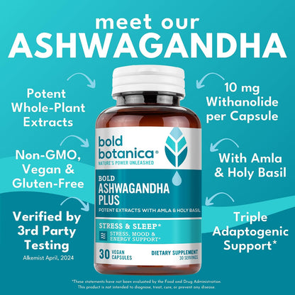 Bold Botanica Ashwagandha Plus – Food Supplement for Men & Women – Stress, Mood, Memory & Energy Support – Triple Adaptogenic Formula with Amla & Holy Basil, 1 Capsule Daily – 30 Vegan Capsules