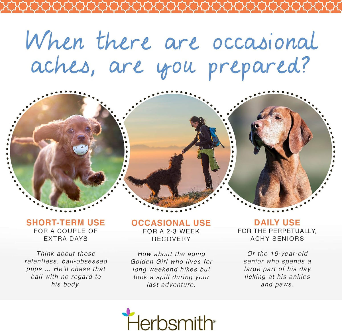 Herbsmith Comfort Aches – Herbal Pain Relief for Dogs & Cats – 90 Tablets - görsel 2