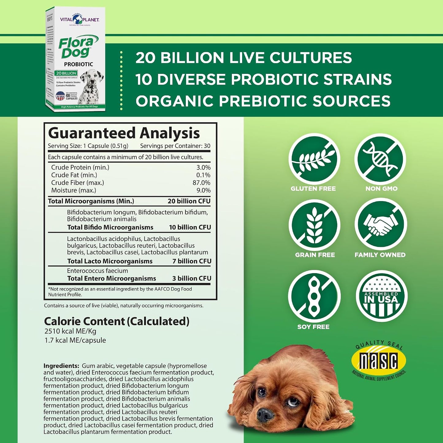 Vital Planet Flora Dog Probiotic Capsules for Dogs – 20 Billion Cultures & 10 Strains - görsel 2