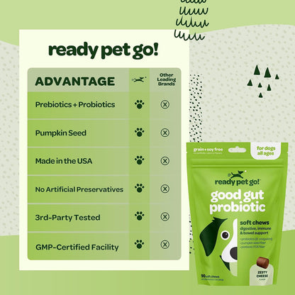 Ready Pet Go! Probiotic Chews for Dogs – Gut Health & Digestive Support with Pumpkin and Enzymes, 90 Count