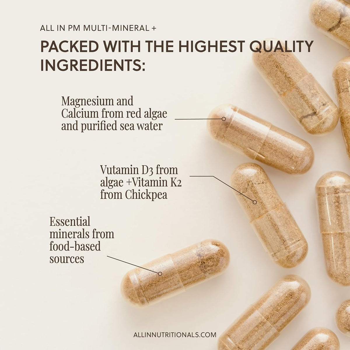 All In Nutritionals PM Multi-Mineral+ Tablet – Whole Food Mineral Supplement for Evening Rejuvenation & Sleep - görsel 4