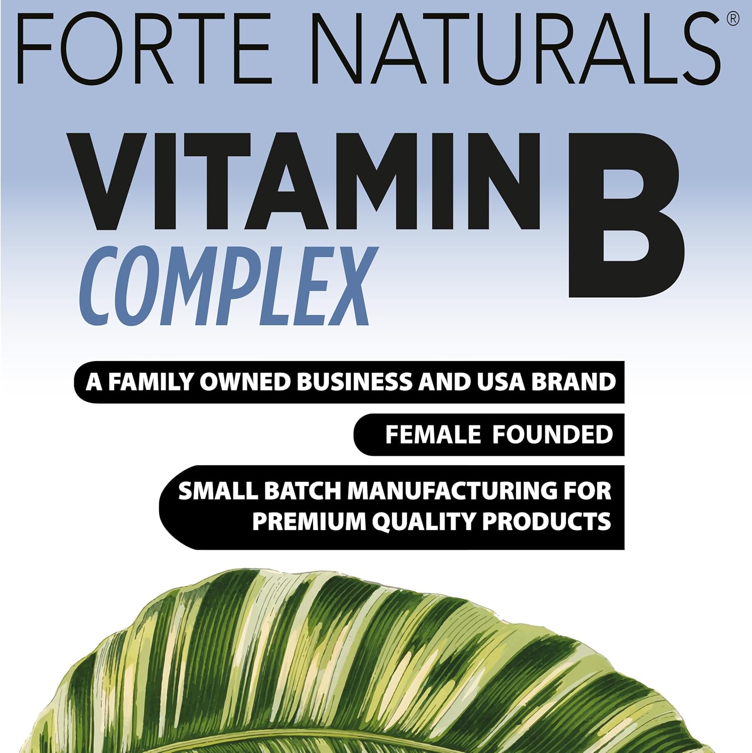 Forte Naturals Vitamin B Complex with Biotin & Folic Acid, 60 Capsules - görsel 7
