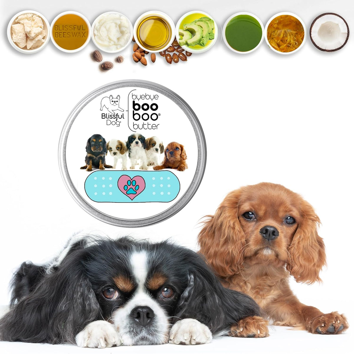 The Blissful Dog Cavalier King Charles Spaniel Booboo Butter, 2 oz Tin - görsel 2