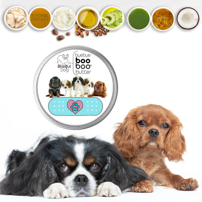 The Blissful Dog Cavalier King Charles Spaniel Booboo Butter, 2 oz Tin
