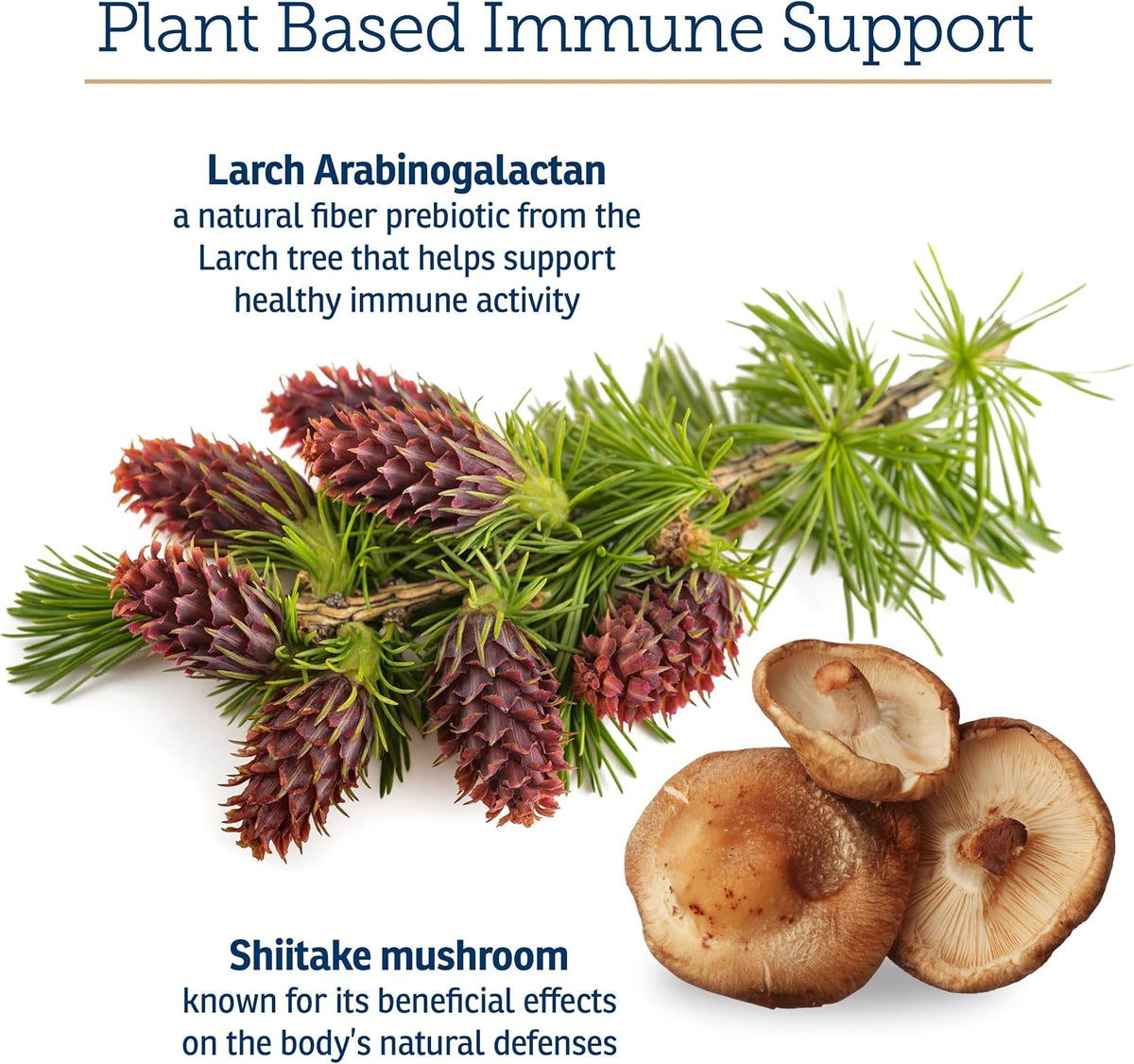 Rx Vitamins Immuno Support, Immune Support for Dogs and Cats - 60ct Supplement with Shiitake Mushroom, Arabinogalactan, and Lutein - görsel 4