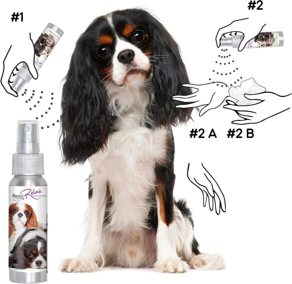 The Blissful Dog Cavalier King Charles Spaniel Relax Dog Aromatherapy Spray for Your Dog's Anxiety - görsel 4