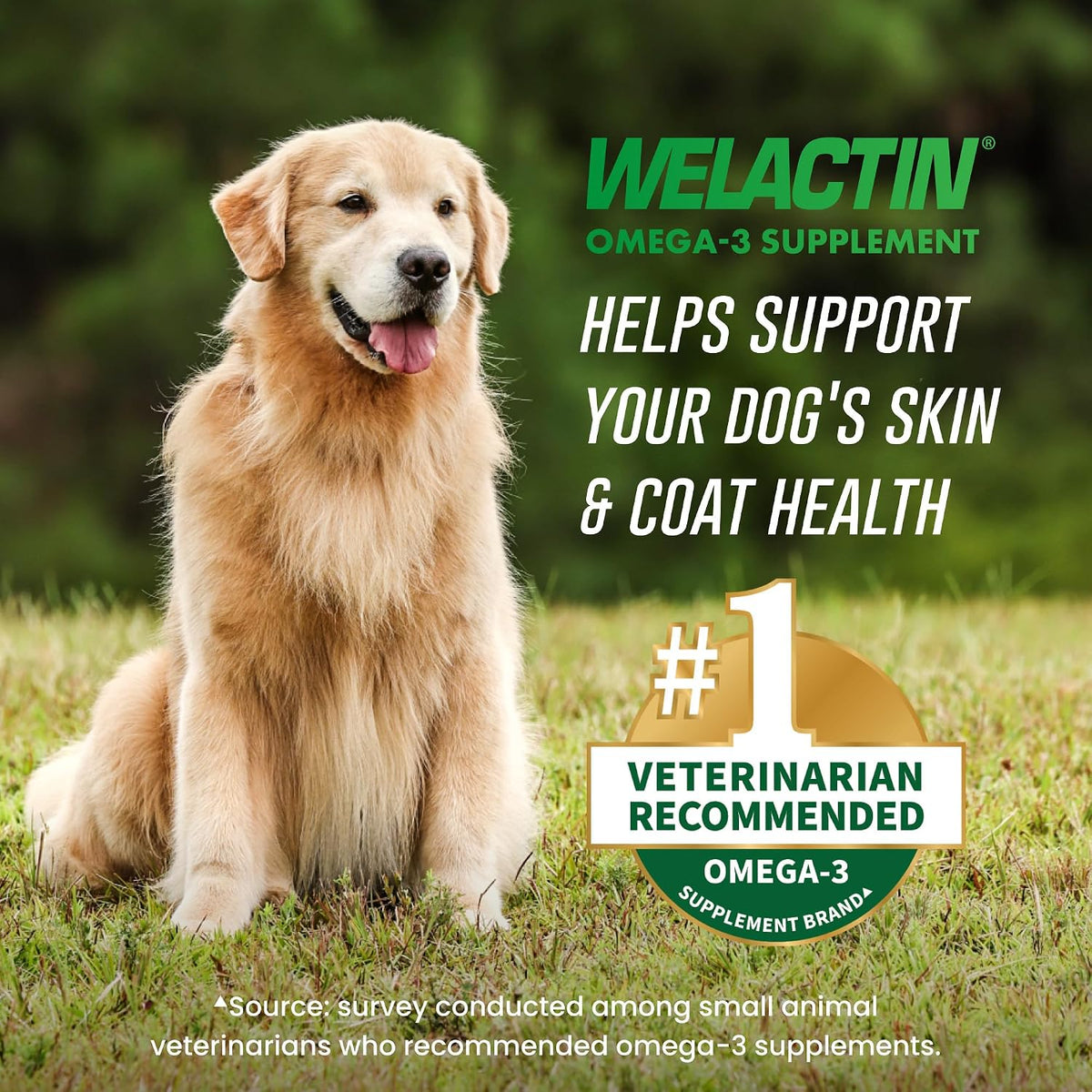 Nutramax Welactin Canine Softgels – Omega 3 Supplement for Dogs (120 count) - görsel 2