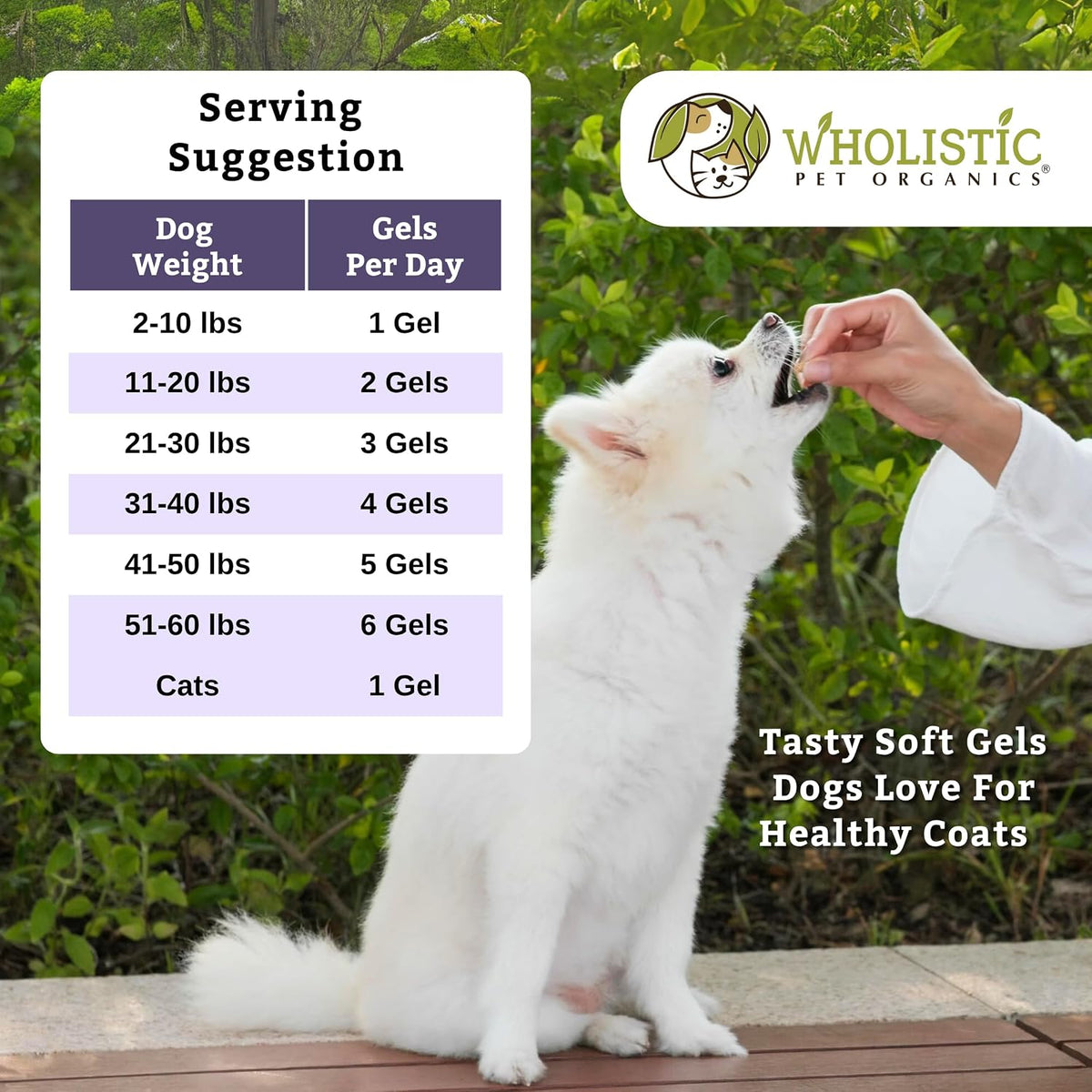 Krill Oil for Dogs and Cats - Premium Antioxidant Support for Pets - Cat and Dog Skin and Coat Supplement with EPA, DHA, Astaxanthin - Omega-3 for Dogs and Cats - 200 Softgels - görsel 6