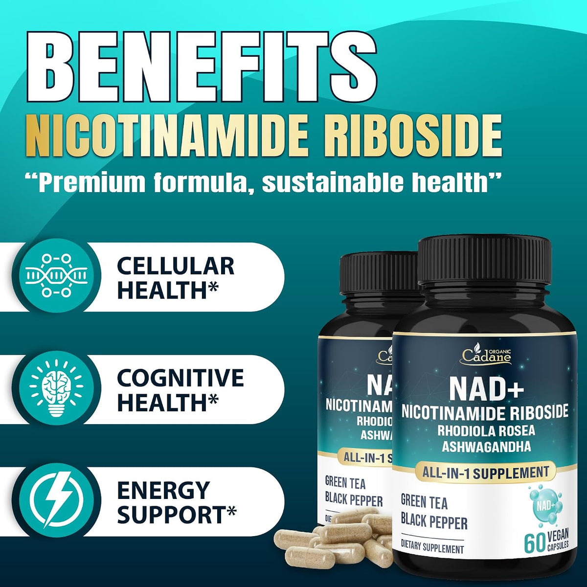 Organic Cadane Nicotinamide Riboside Food Supplement with Rhodiola Rosea, Ashwagandha & Green Tea – 60 Capsules - görsel 4