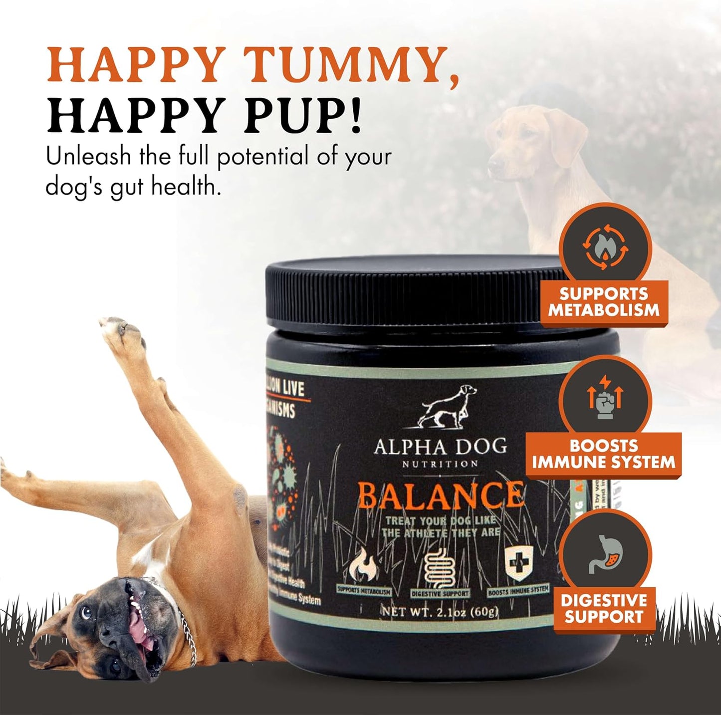Balance Probiotic Blend for Dogs by Alpha Dog Nutrition - görsel 4