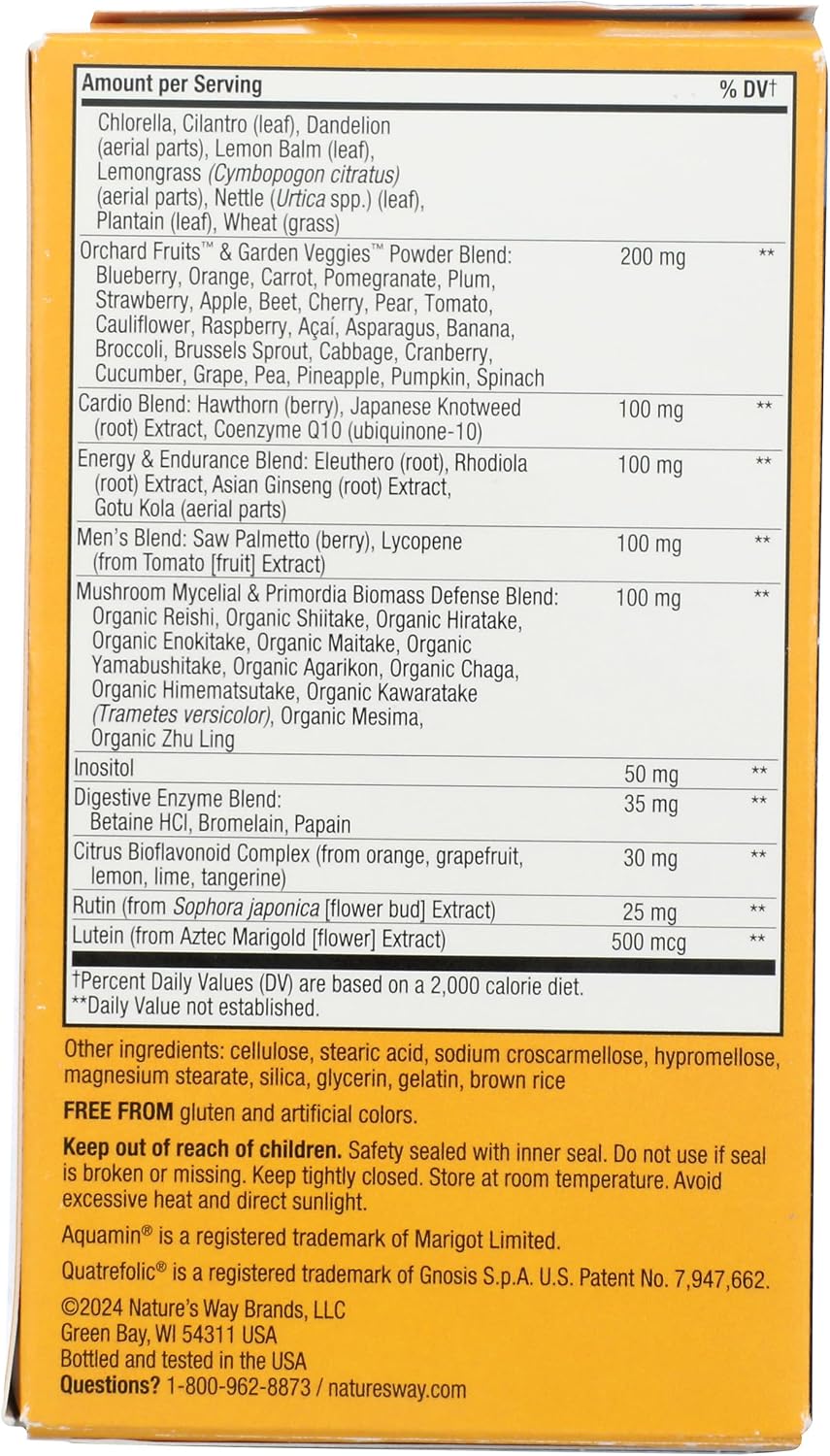 Nature's Way Multivitamin Alive Energizer Mens, 90 Capsules - görsel 2