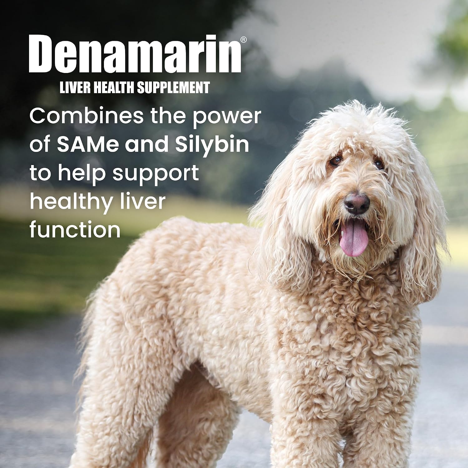 Nutramax Denamarin for Large Dogs, Liver Support Supplement with S-adenosylmethionine (SAMe) plus Silybin, Liver Support for Dogs, Coated Tablets, 30 Count - görsel 2