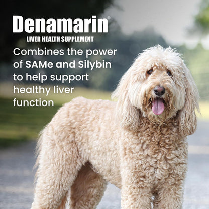 Nutramax Denamarin for Large Dogs, Liver Support Supplement with S-adenosylmethionine (SAMe) plus Silybin, Liver Support for Dogs, Coated Tablets, 30 Count