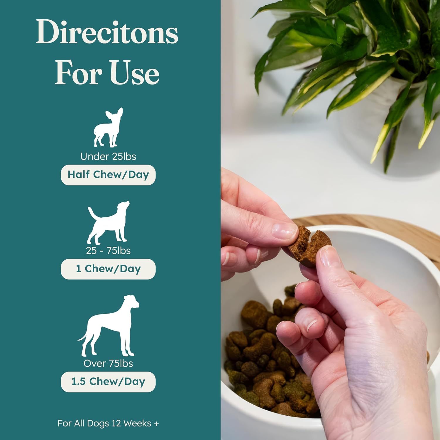 PetHeal Kidney Guard Chews for Dogs - Vet-Reviewed Renal Support with Astragalus, Cordyceps, Dong Quai & Rehmannia - 30 Soft Chews, Pork Flavour - görsel 5
