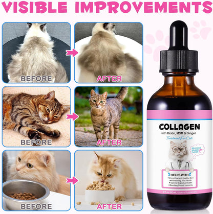 Onznoz Collagen for Cats - Liquid Skin & Coat Supplement with MSM and Ginger, 60 ml