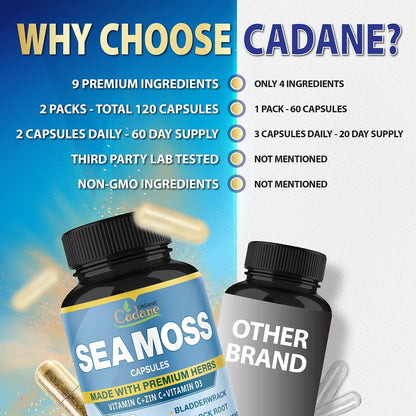 Cadane Irish Sea Moss Capsules with Vitamin C, D3, Zinc & Herbal Blend – 60 Day Supply