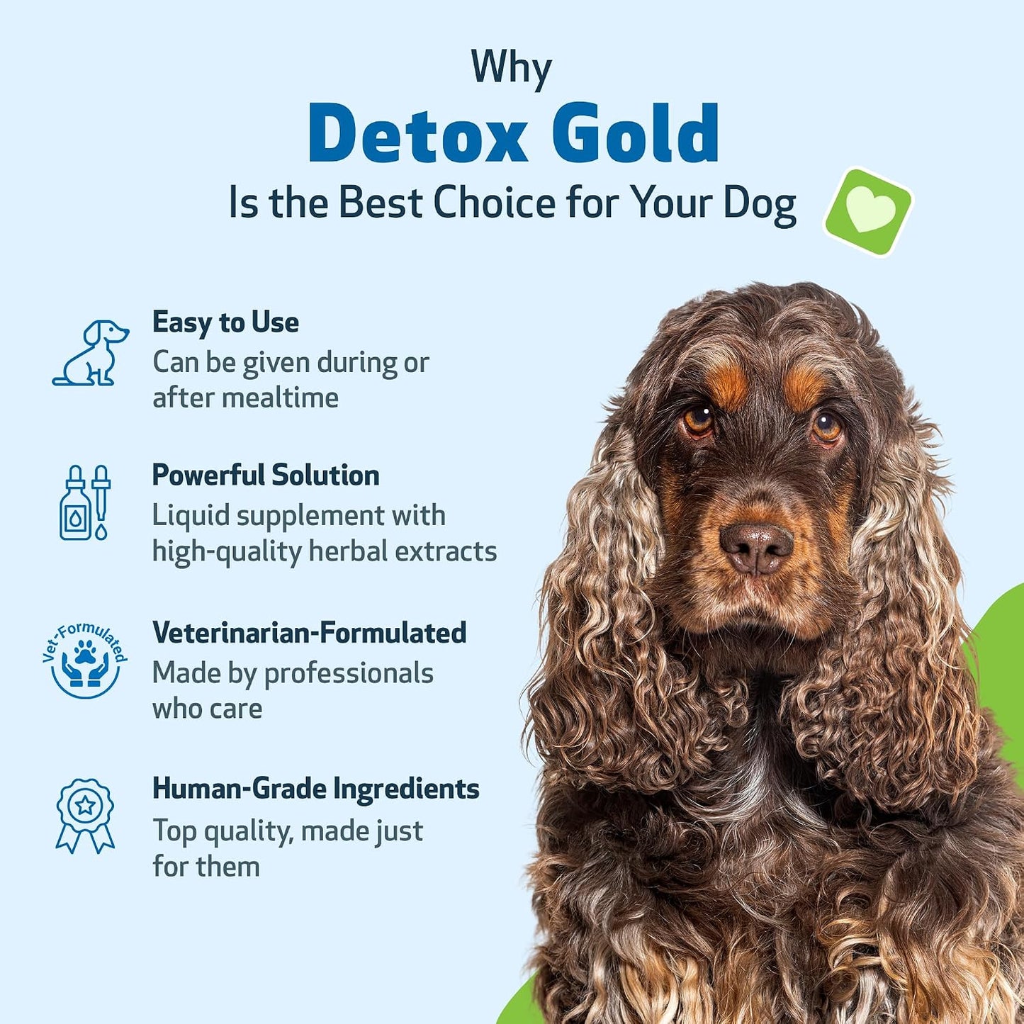 Pet Wellbeing Detox Gold for Dogs & Cats - Gentle Detoxification & Elimination Support, Immune System Care, Nettle, Blessed Thistle - Veterinarian-Formulated Herbal Supplement, 118 ml - görsel 5
