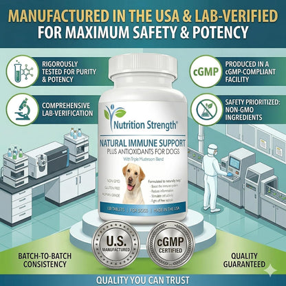 Immune Support for Dogs – Turkey Tail, Reishi, Shiitake & Maitake Mushroom Complex with CoQ10 and Vitamin A – 120 Chewable Tablets
