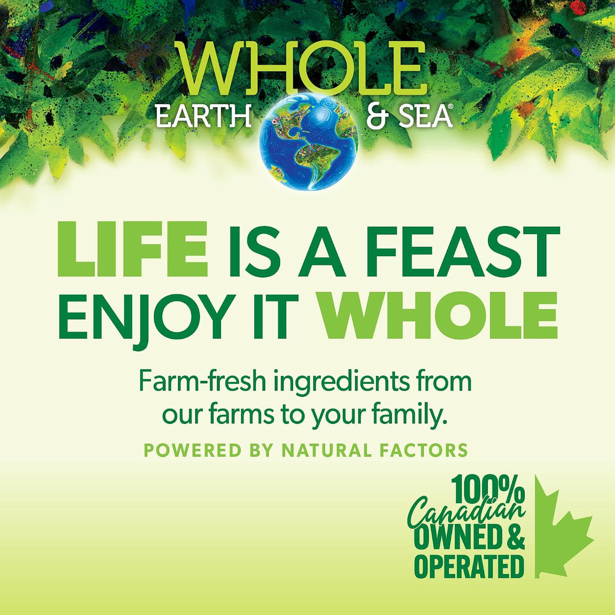 Natural Factors Whole Earth & Sea Men's Multivitamin and Mineral – 120 Tablets - görsel 6