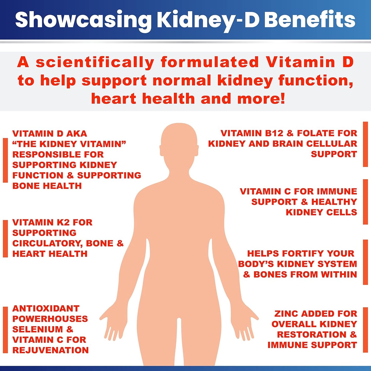Kidney Restore & Kidney-D 2-Pack Capsules for Nutritional Kidney Support - görsel 5