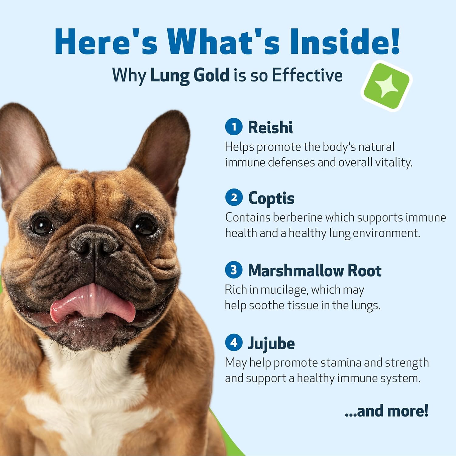 Pet Wellbeing Lung Gold for Dogs – 59 ml Liquid - görsel 4