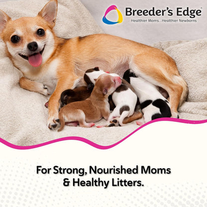 Breeder's Edge Oxy Momma Soft Chews, Postnatal Vitamin Supplement for Lactating Dogs and Cats, Supports Recovery, Hormones, and Next Pregnancy - for Medium & Large Dogs, 40ct Soft Chews