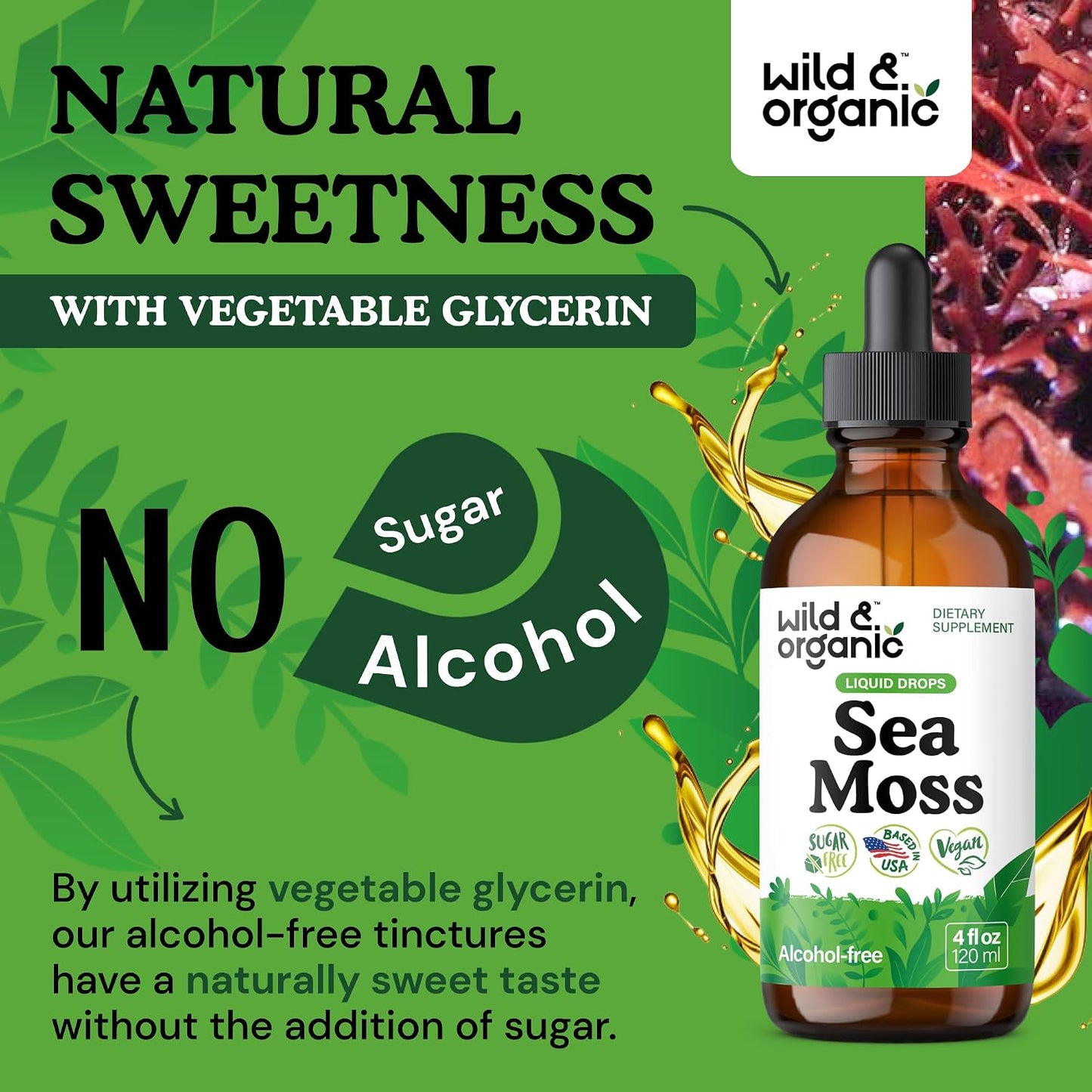 Wild & Organic Sea Moss Drops - Irish Sea Moss & Bladderwrack Liquid Tincture - Vegan, Alcohol-Free - 118 ml - görsel 6