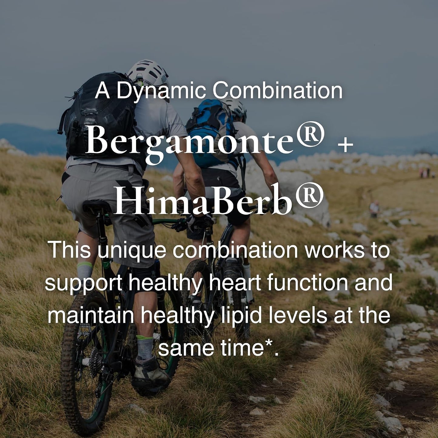 Utzy Naturals Berbercol - Citrus Bergamot & Berberine Supplement, 60 Capsules - görsel 6