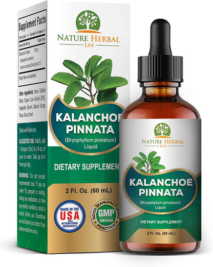 Kalanchoe Pinnata (Bryophyllum Pinnatum) Glycerite, Dried Leaf and Stem Liquid Extract. Herbal Supplement, Antioxidants. 1 Bottle, 2 fl oz (60 ml)