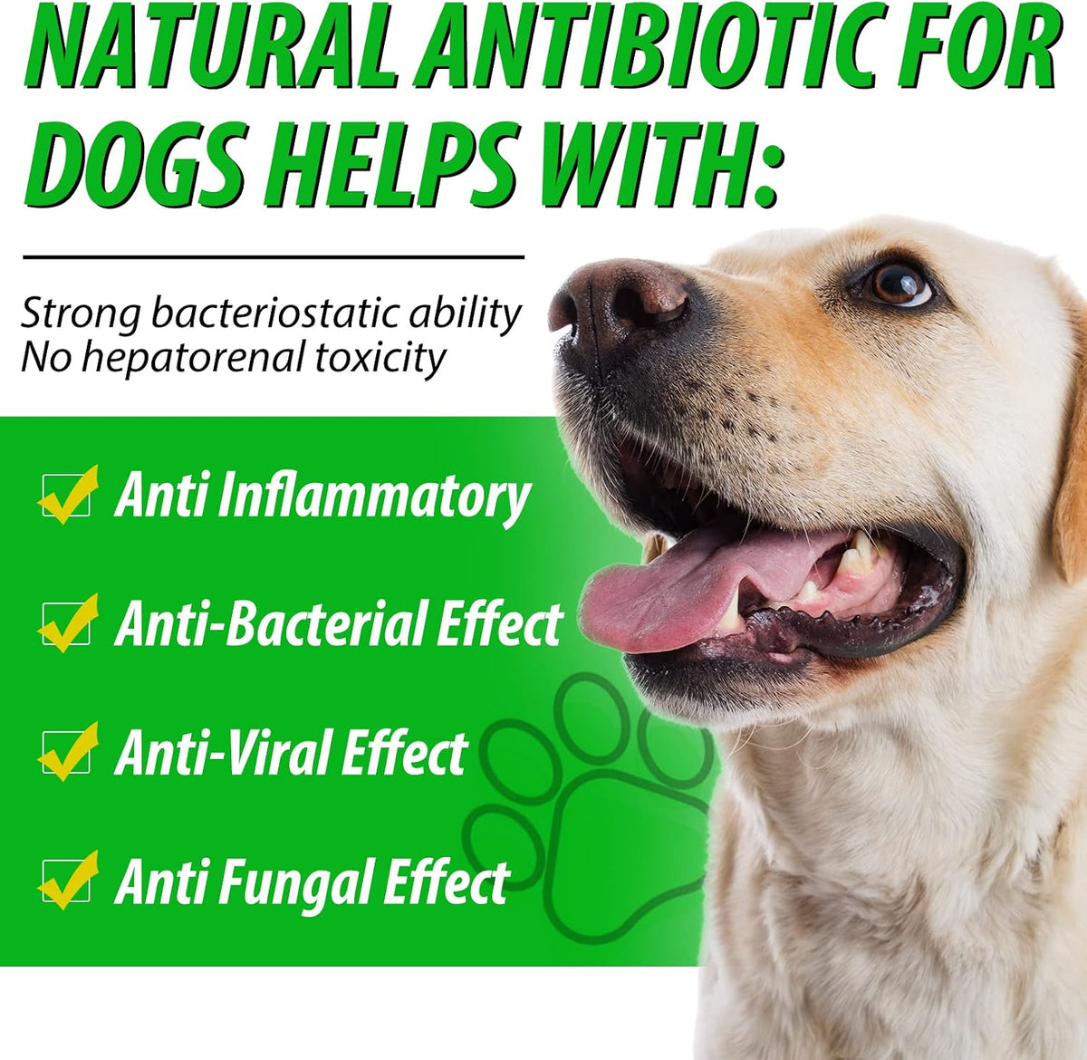 ALIVO Natural Antibiotics for Dogs - Supports Allergy and Itch Relief, Dog Multivitamin, Bacon Flavour - 60ml x 2 - görsel 6