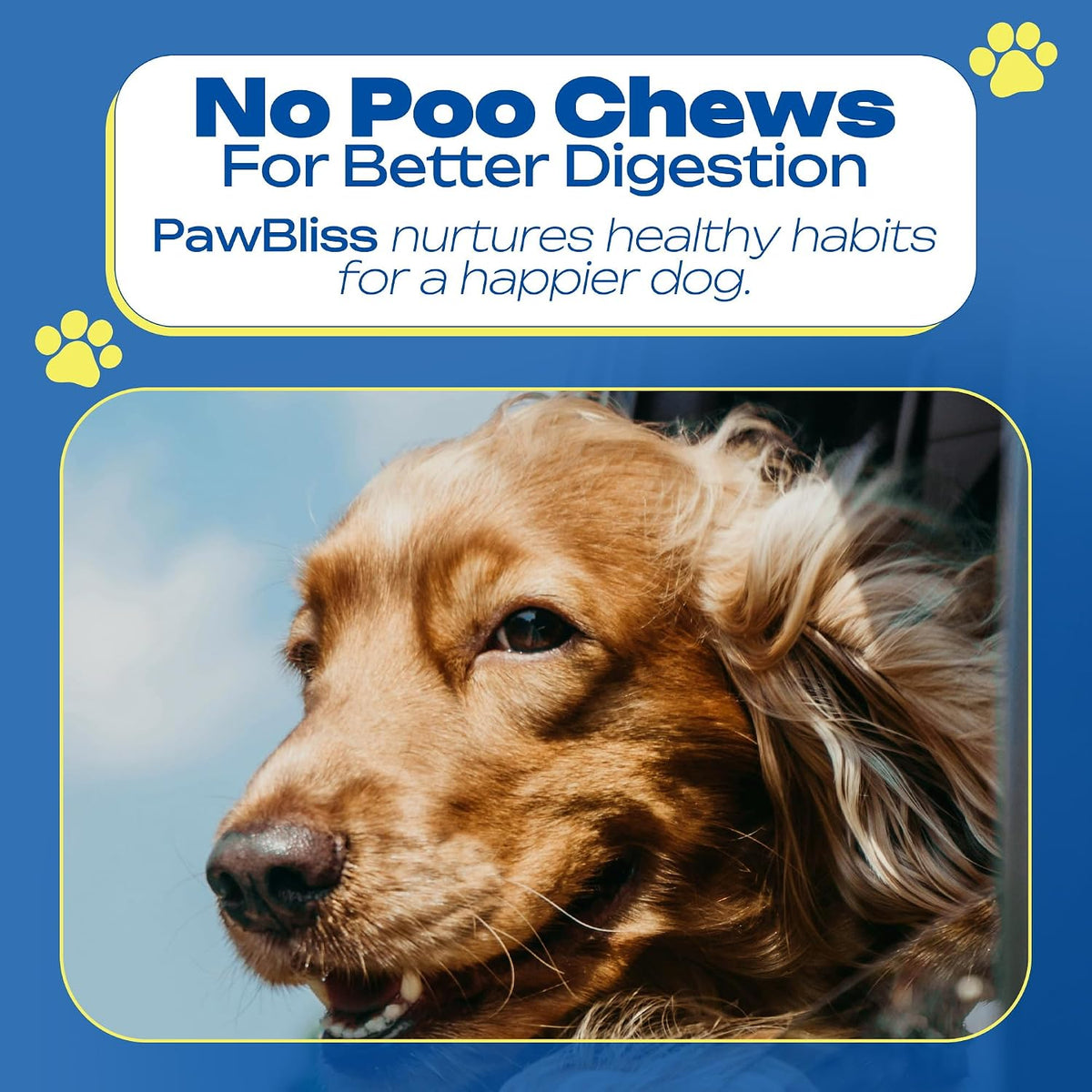No Poo Chews for Dogs – Stop Poo Eating with Coprophagia Deterrent – Probiotic & Enzyme Soft Chews – Digestive & Breath Support – 120 Bacon-Flavoured Chews - görsel 5
