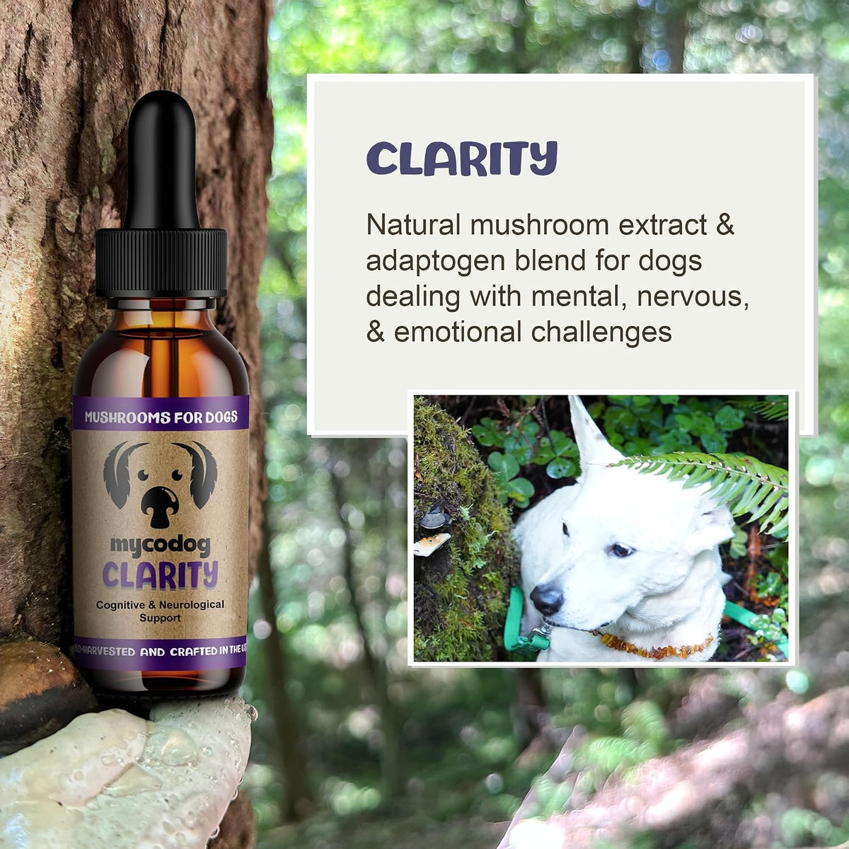 Clarity - Cognitive Support Mushroom Supplement for Dogs - Brain Health, Memory and Focus Support with Adaptogens for Ageing Dogs - görsel 2