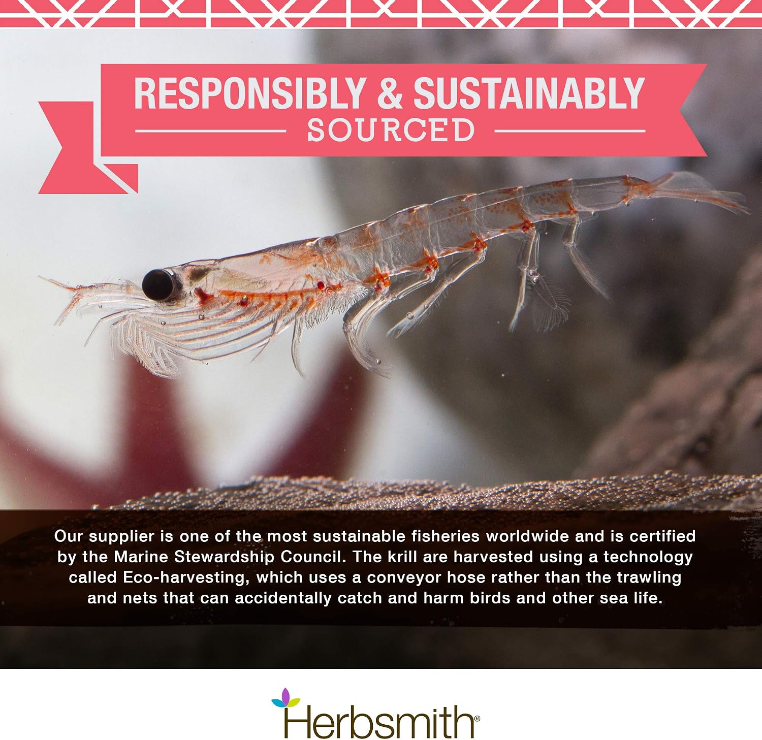 Herbsmith Pure Krill - Wild-Caught Antarctic Krill - Single Ingredient - Astaxanthin for Dogs - Ready-to-Uses Omega 3s - 150g - görsel 7