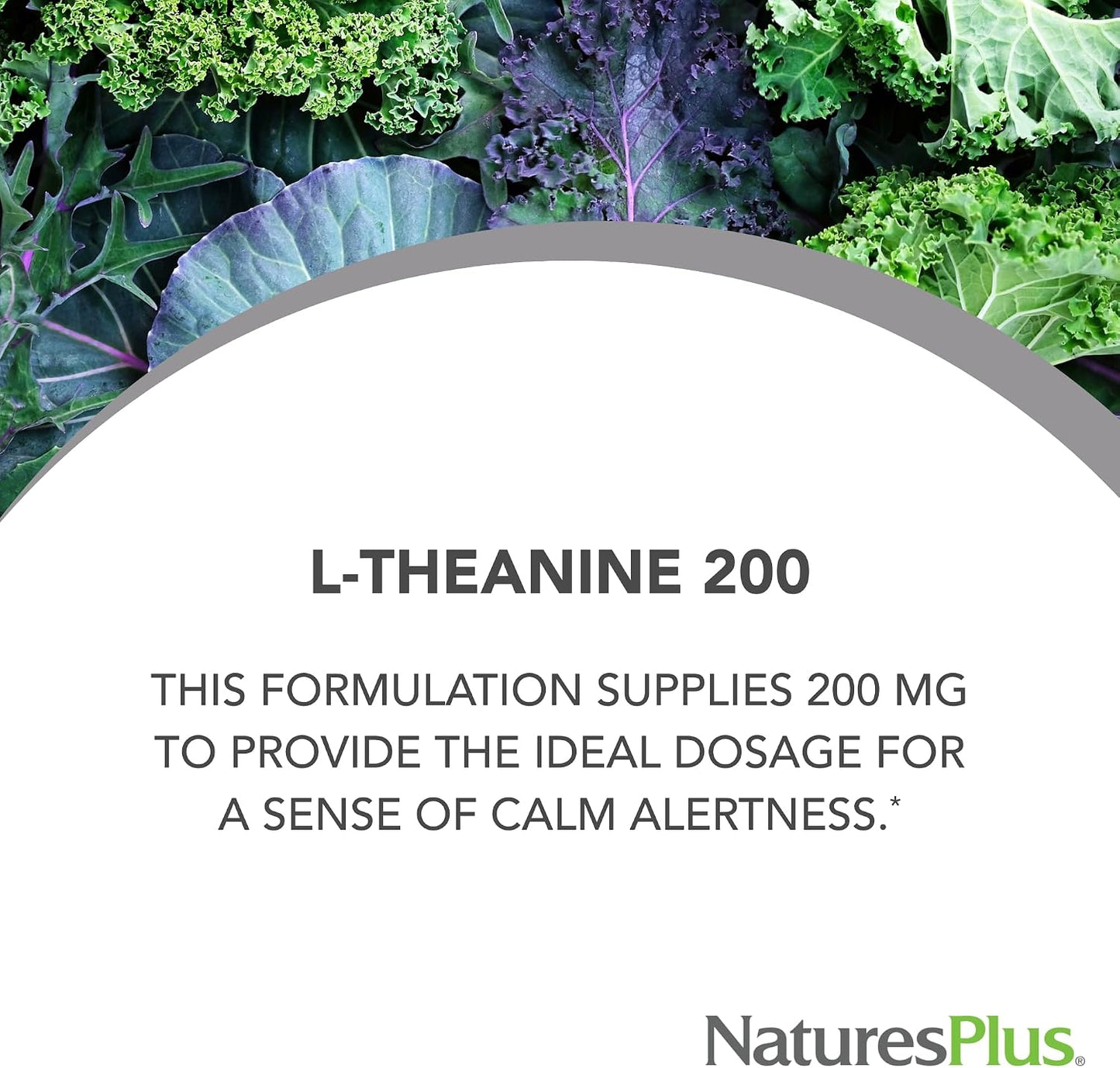 NaturesPlus PRO L-Theanine - 60 Capsules - Supports Calm Alertness, Healthy Relaxation & Improved Rest - Non-GM, Vegan & Gluten-free - görsel 2