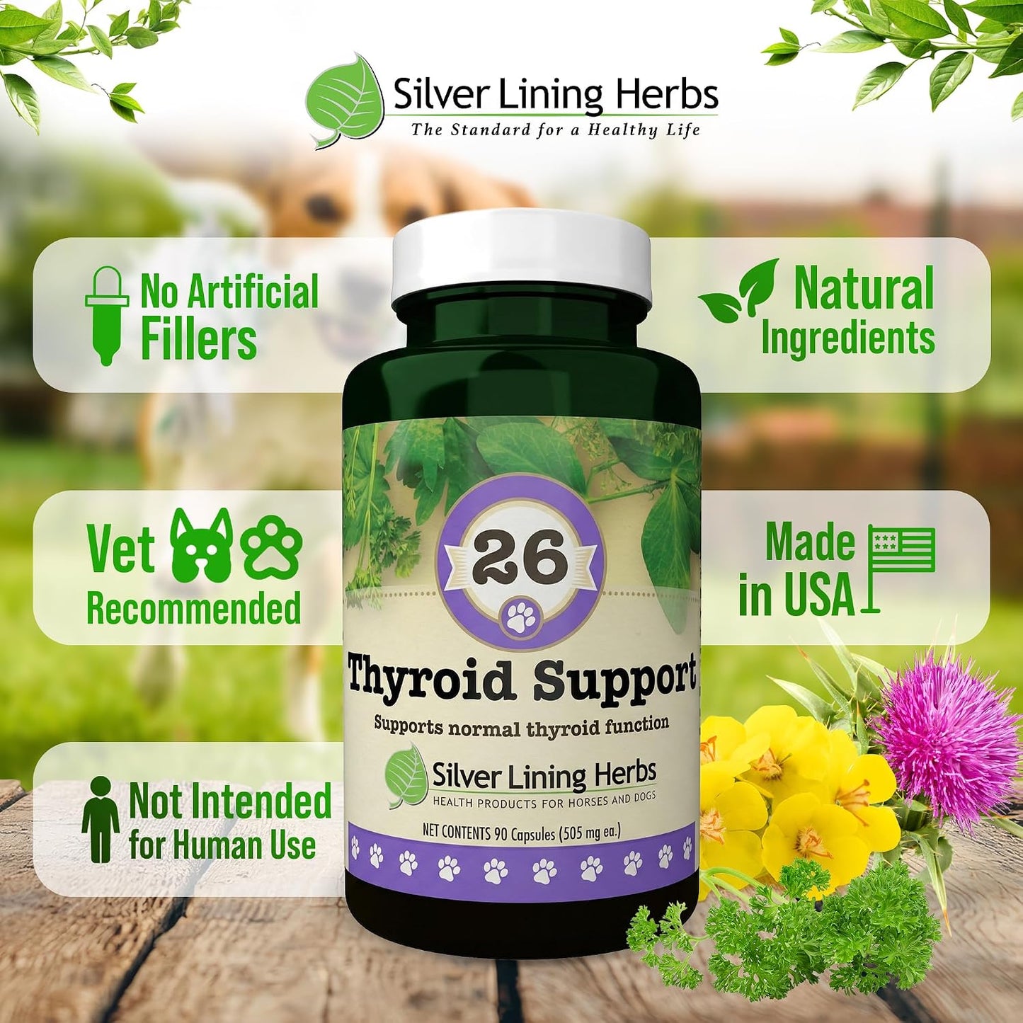 Silver Lining Herbs Thyroid Support for Dogs - 90 Capsules - görsel 3