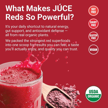 Terra Kai Organics JUCE Reds Organic Superfood Powder - Garden Berry Flavour