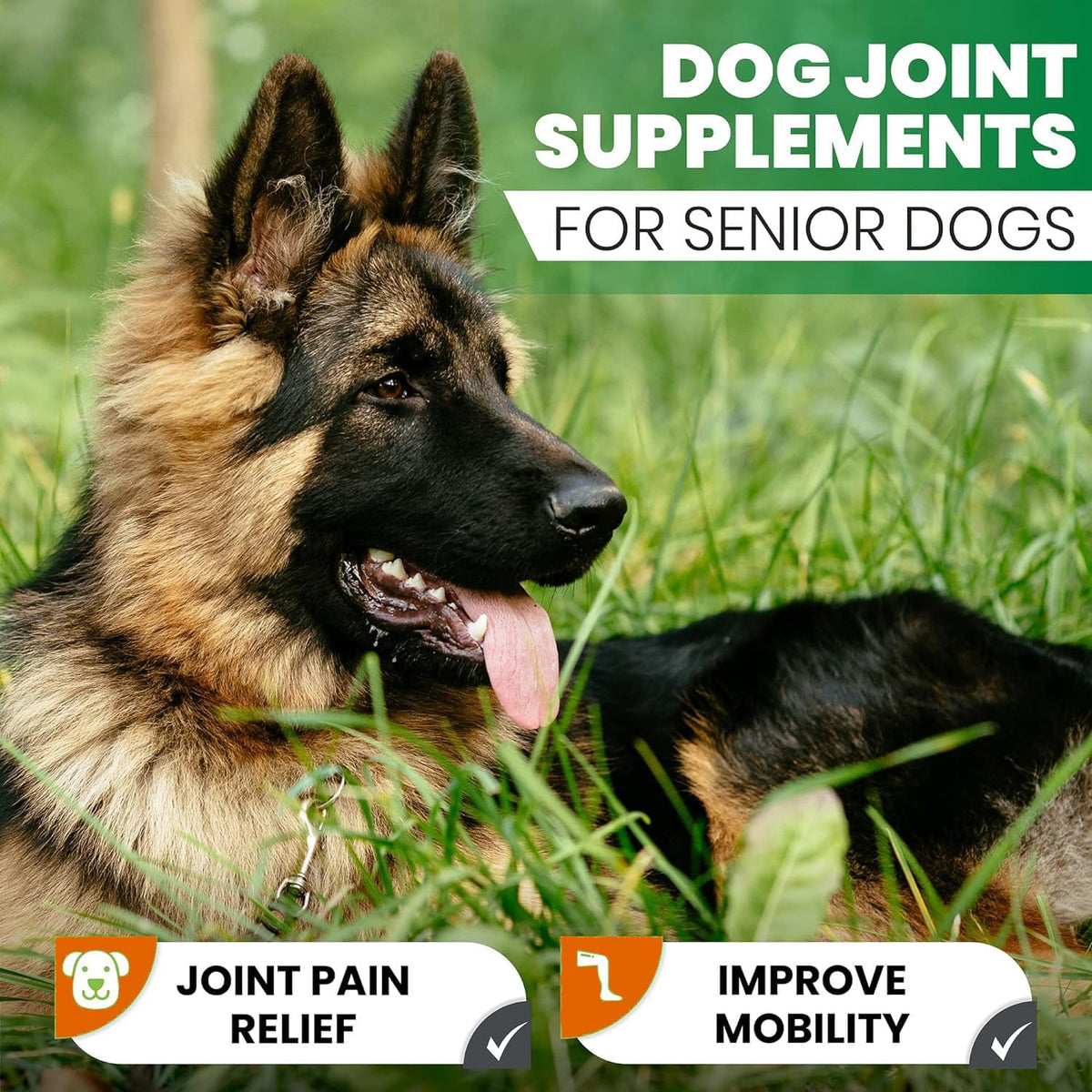 Turmeric Curcumin for Dogs – 180 Duck-Flavoured Tablets – Advanced Hip & Joint Formula with Piperine – Supports Mobility, Inflammatory Response, Skin Health & Immune Function - görsel 5
